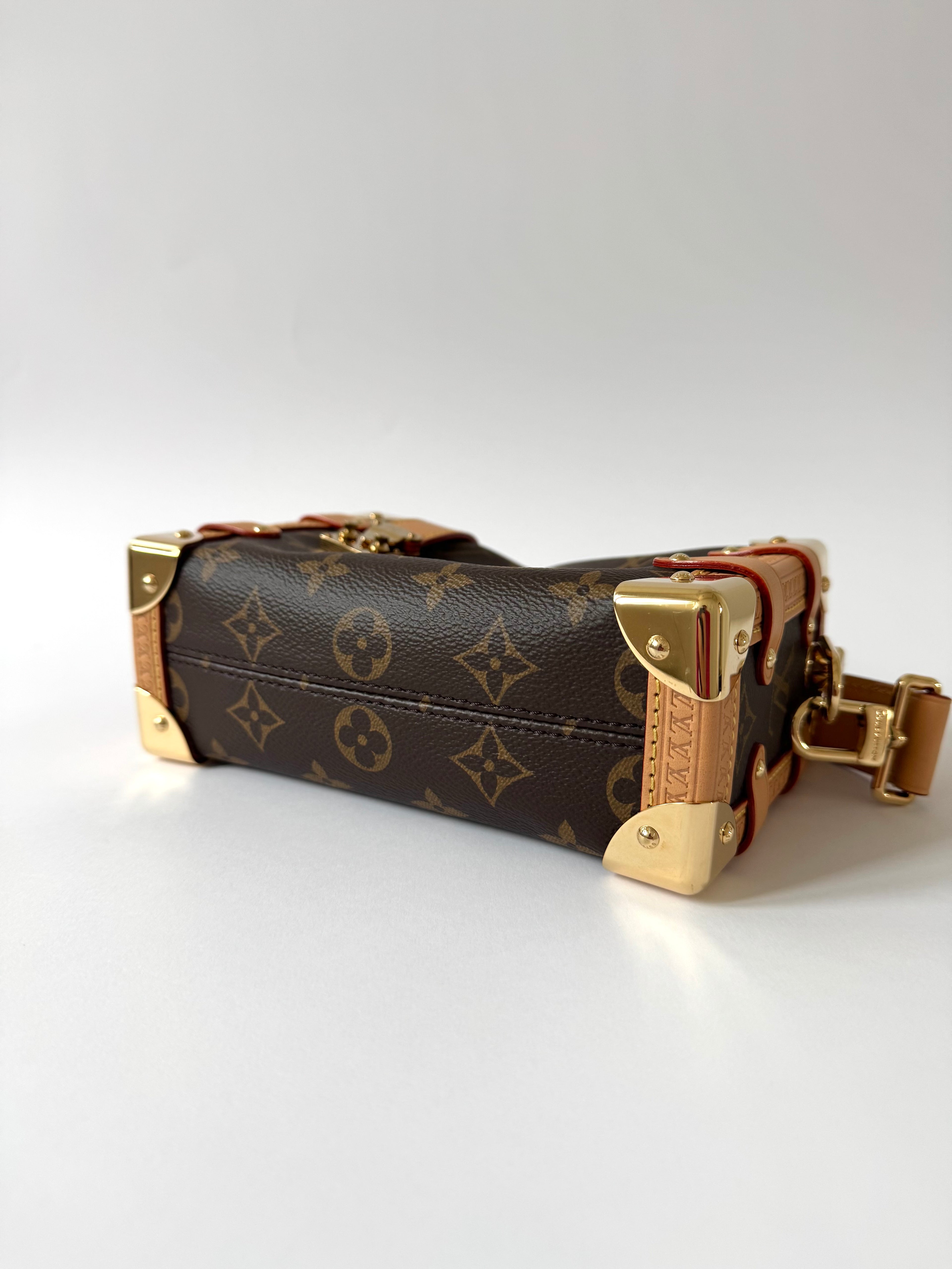 Louis Vuitton Side Trunk PM